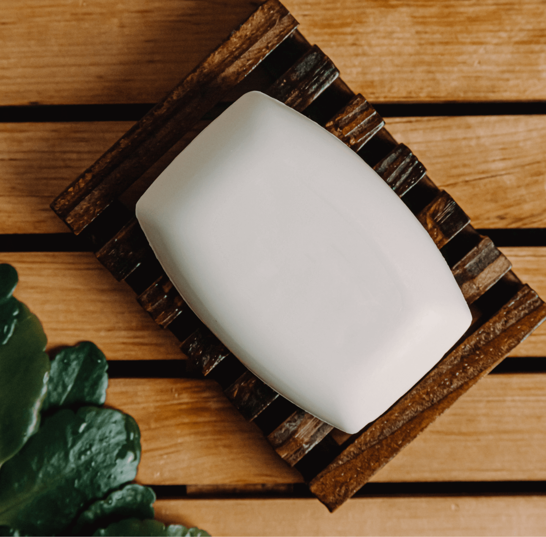 (Sample) Coconut Bar Soap - For cleaning and maintaining hygiene